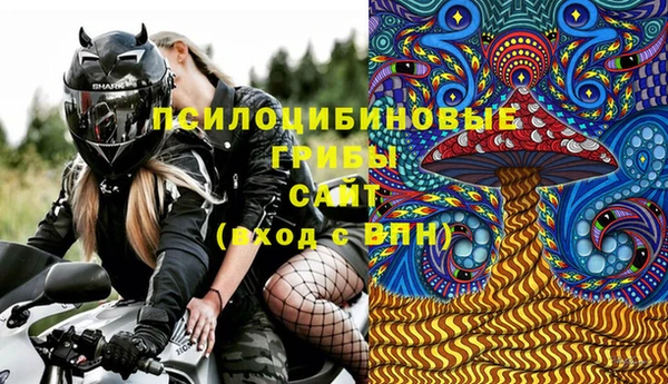 а пвп мука Алзамай